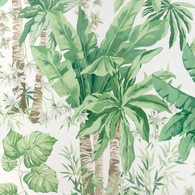 Kravet Wallcovering JUNGLEWOOD PNL VERDE