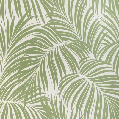 Kravet Wallcovering PALM LEAF WP VERDE