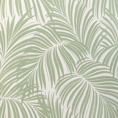 Kravet Wallcovering PALM LEAF WP LIGHT GREEN