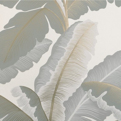 Kravet Wallcovering ISLA ROYAL WP MIST