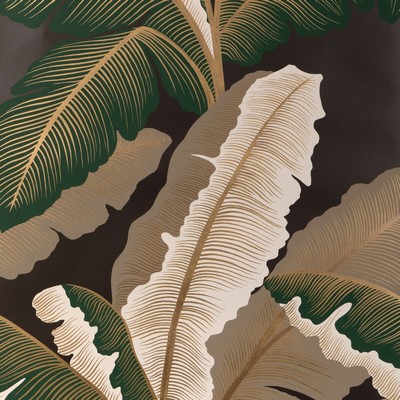 Kravet Wallcovering ISLA ROYAL WP CACAO