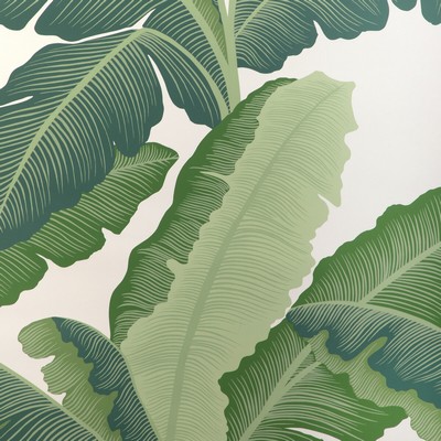 Kravet Wallcovering ISLA ROYAL WP VERDE