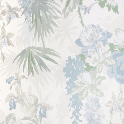 Kravet Wallcovering LA SELVA WP CHAMBRAY