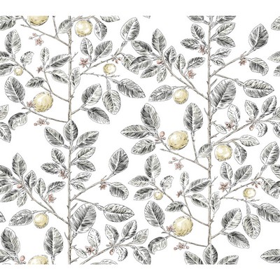 Kravet Wallcovering W4241 21