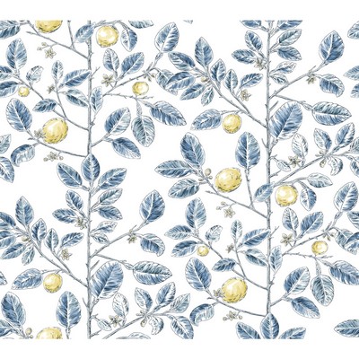 Kravet Wallcovering W4241 540