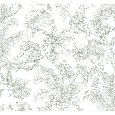 Kravet Wallcovering W4250 31