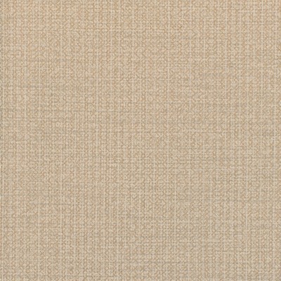 Winfield Thybony Design EMELINE WOVEN LATTE