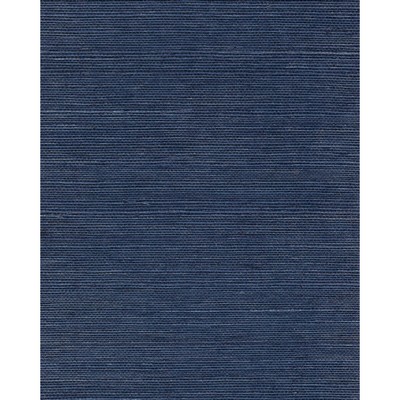 Winfield Thybony Design CHIYO SISAL INDIGO