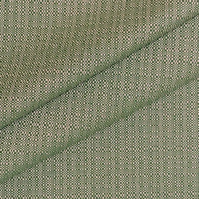 Magnolia Fabrics  Crypton Home Shugs MOSS