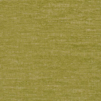 Magnolia Fabrics  Insideout Sayra GRASS