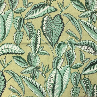 Magnolia Fabrics  Co - Cypress KIWI