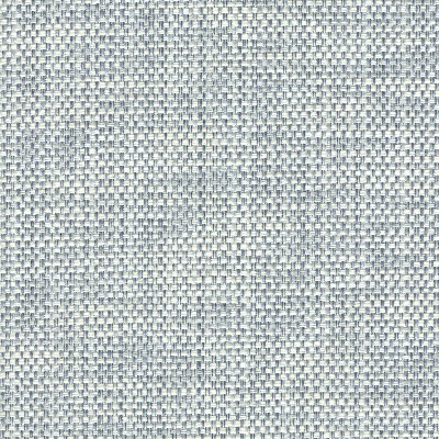 Magnolia Fabrics  Zook SKY