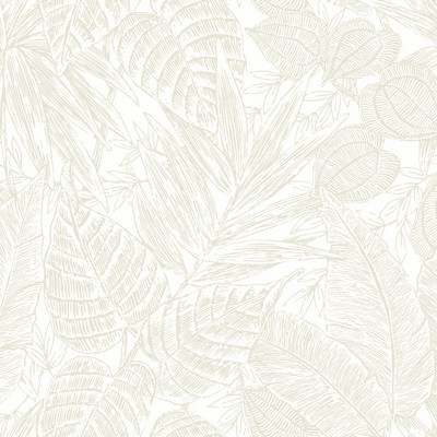 Brewster Wallcovering Brentwood Bone Palm Leaves  Bone