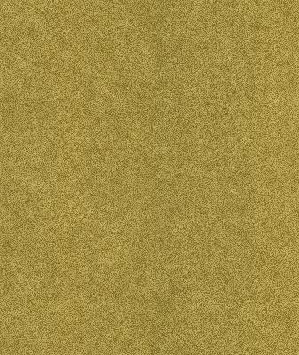 Brewster Wallcovering Kandula Mustard Animal Print Mustard