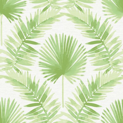 Brewster Wallcovering Calla Green Painted Palm Wallpaper Green