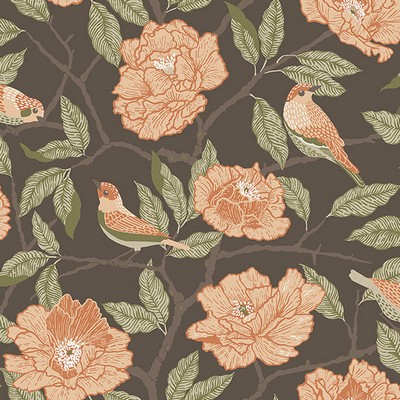 Brewster Wallcovering Bernadina Black Rosebush Wallpaper Black