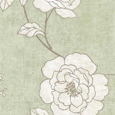 Brewster Wallcovering Madelaine Light Green Outline Rose Light Green