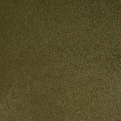 Greenhouse Fabrics B5168 BAMBOO