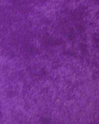 Suede Purple  by   