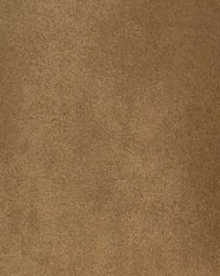 Microsuede Cashew by  Lady Ann Fabrics 