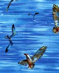 Seagulls Blue by   