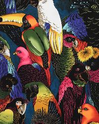 Birds of a Feather Multi by   