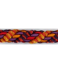  1/2 in Chenille Lipcord 1179WL PRR by   