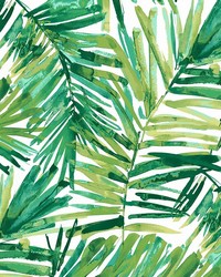 Coastal Palm Green Leaf by   