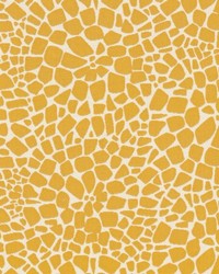 Solution Dyed Indoor Outdoor Fabric Solution Dyed Indoor Outdoor Fabric