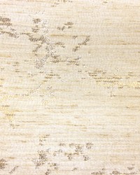 Limestone Beige by   