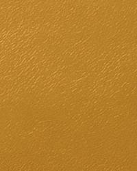 Luxianna Saffron Leather by   