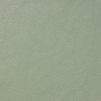 Garrett Leather Pearlessence Spearmint Leather in Pearlessence Green Upholstery Leather  Blend Fire Rated Fabric Italian Leather Solid Leather HIdes Solid Green   Fabric