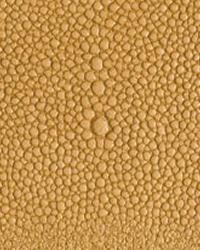 Shagarrett Sponge Leather by   