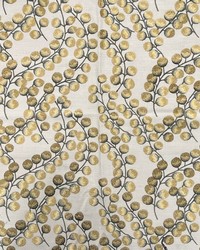 Winslow Gold by  Hamilton Fabric 