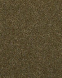 Perry Wool Bark by   