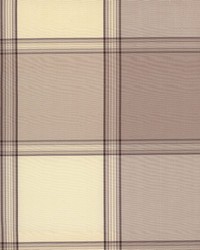 Jabiru Plaid Taupe by  Koeppel Textiles 