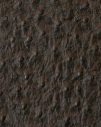 Emu Bark by  Mitchell Group 