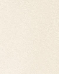 Magic Beige by  Mitchell Group 