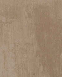 Patina Taupe by   