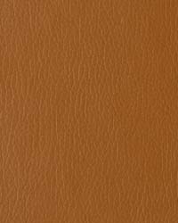 Soleil Golden Brown by  Mitchell Group 