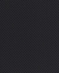 Kixx Charcoal KX 614 by  Morbern Fabric 