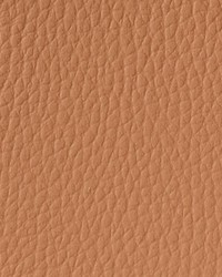 Allure AL 37 Clay Dust by   