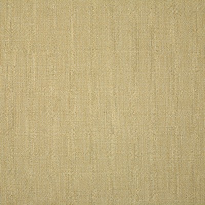 Pindler and Pindler 6914 Barrens Parchment in may 2022 Beige Upholstery 100%  Blend Fire Rated Fabric Textures Flame Retardant Vinyl  Solid Beige  Solid Color Vinyl  Fabric