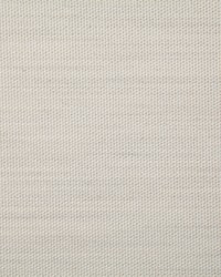 7316 Clearfield Canvas by  Pindler and Pindler 