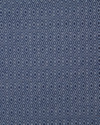 7318 Hedgerow Navy by  Pindler and Pindler 