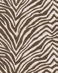 Terranea Zebra Java by   