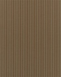 Arbor Stripe Earth by   