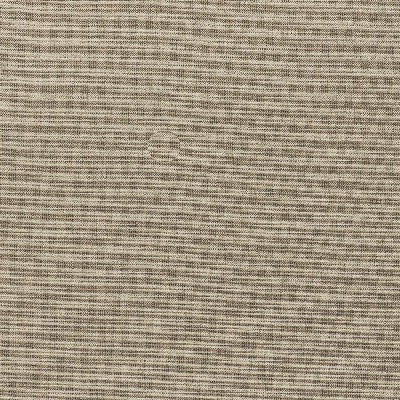 Richloom Aypace Stone in Charleston Solution  Blend Solid Outdoor   Fabric