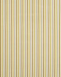 Zigzag Lines Amber by   