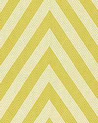 Nebaha Embroidery 65790 Citron by  Schumacher Fabric 